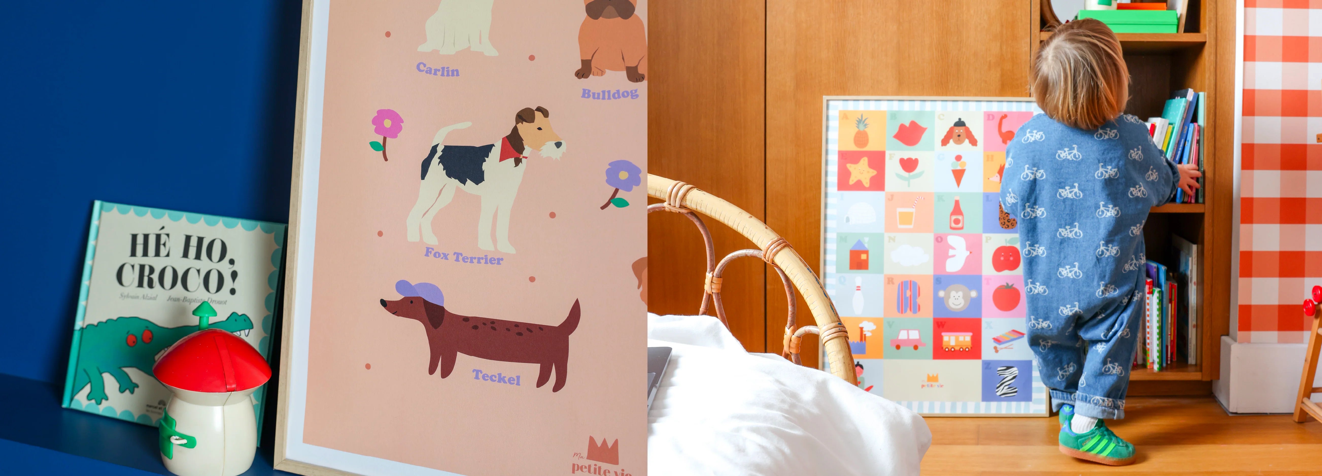 Affiches pédagogiques