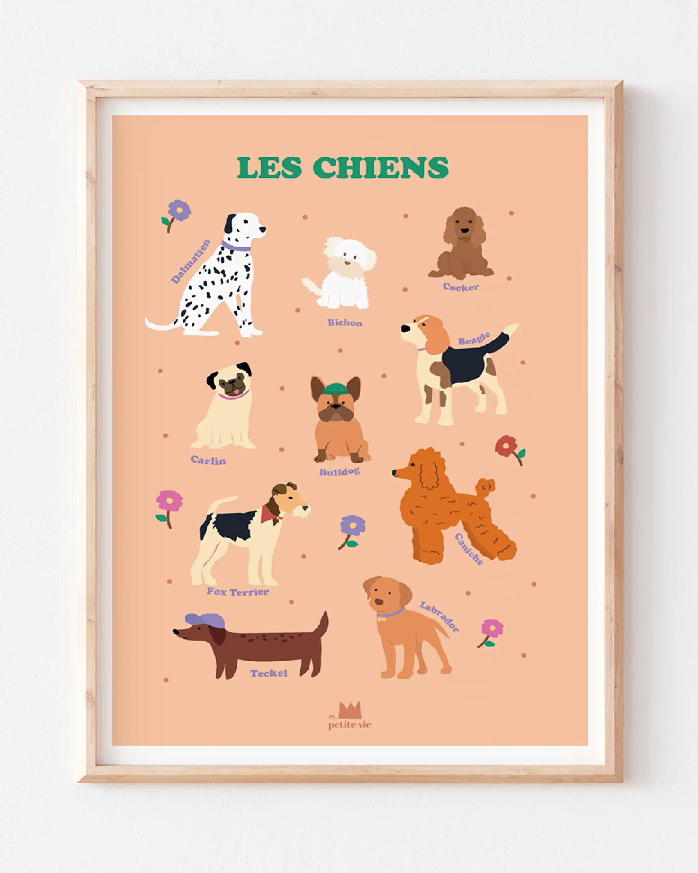 Affiche Les Chiens pour les enfants pour connaitre les labradors ou les cockers