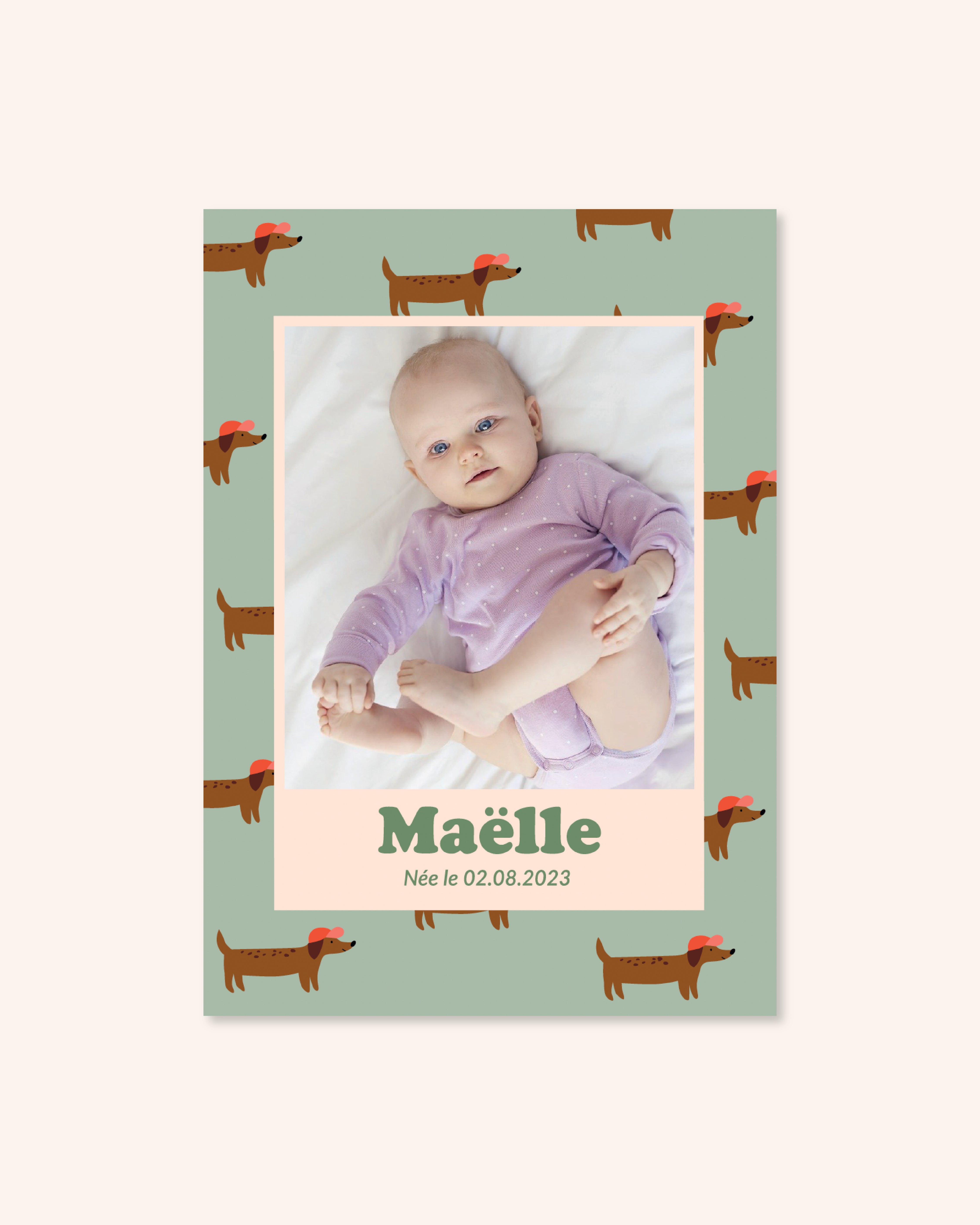 Faire-part de naissance teckels avec motif pour annoncer naissance bébé.