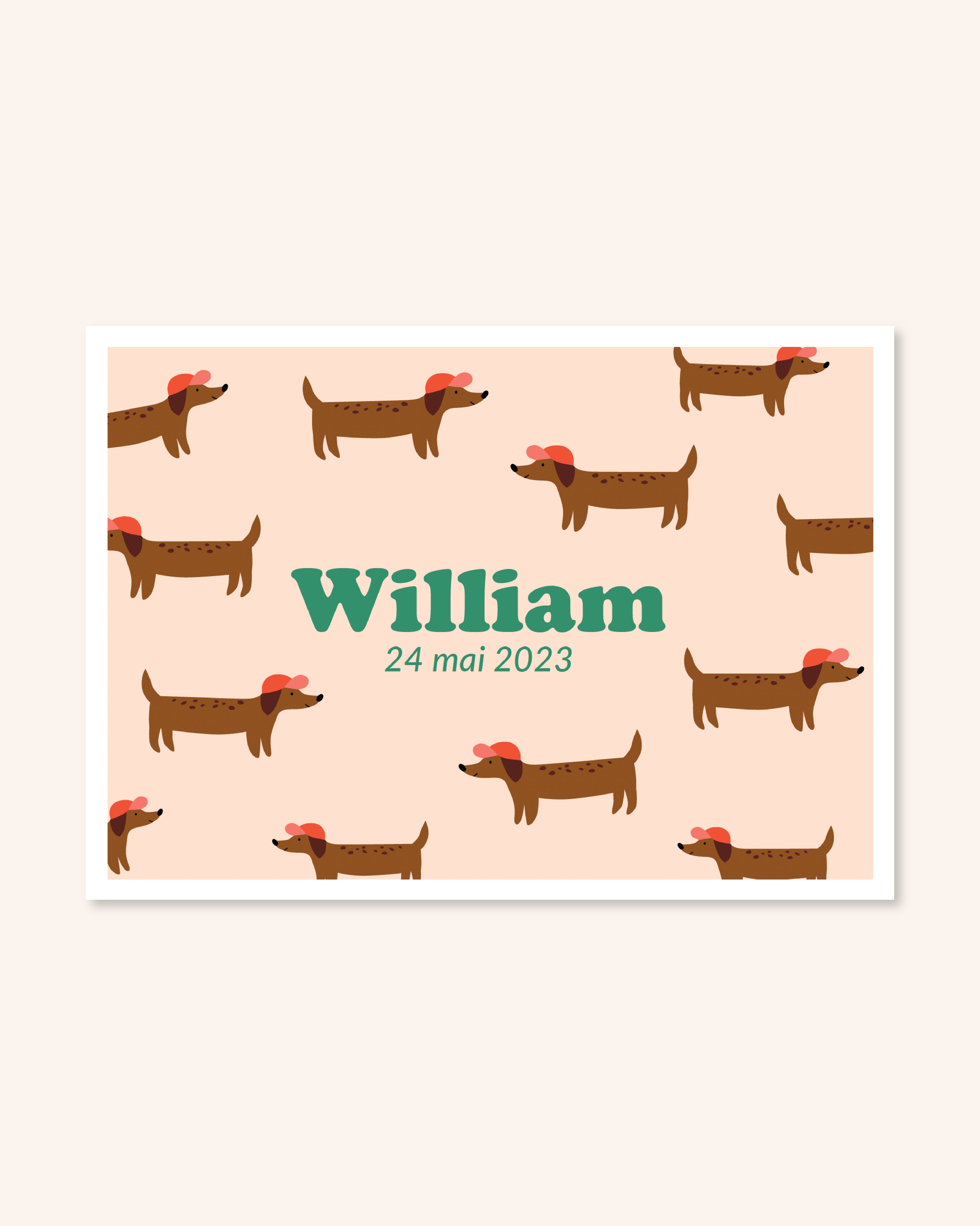 Faire-part de naissance bébé avec des teckels pour annoncer la naissance de bébé.