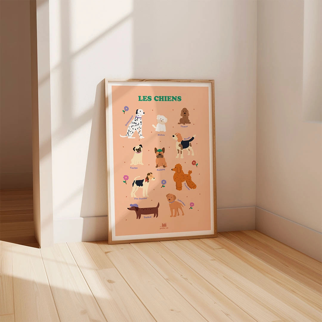 Affiche Les Chiens pour les enfants pour connaitre les labradors ou les cockers 