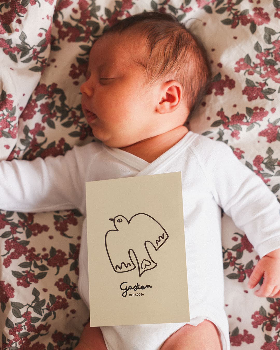 faire-part de naissance avec un oiseau illustré en plein vol